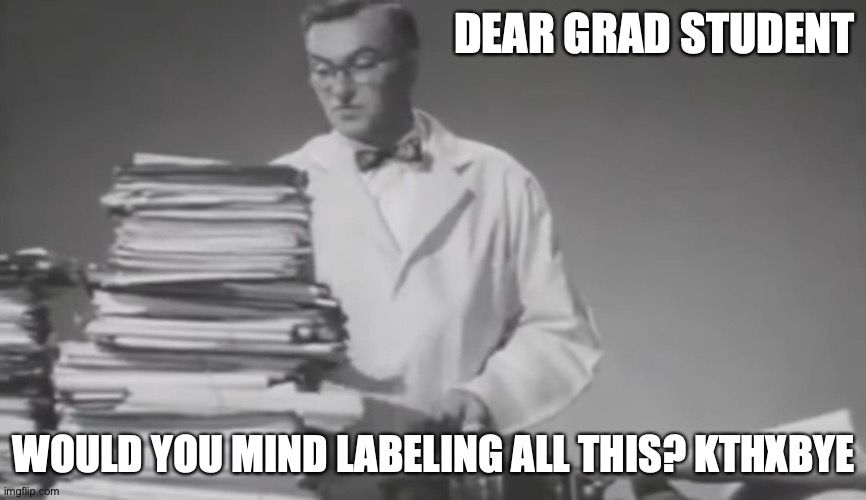 Black and white image of a man in a lab coat standing in front of a pile of papers. The meme reads "Dear grad student, would you mind labeling all this? kthxbye
