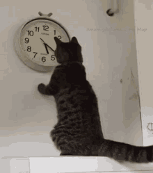 Animated gif of a cat batting the hands of a clock