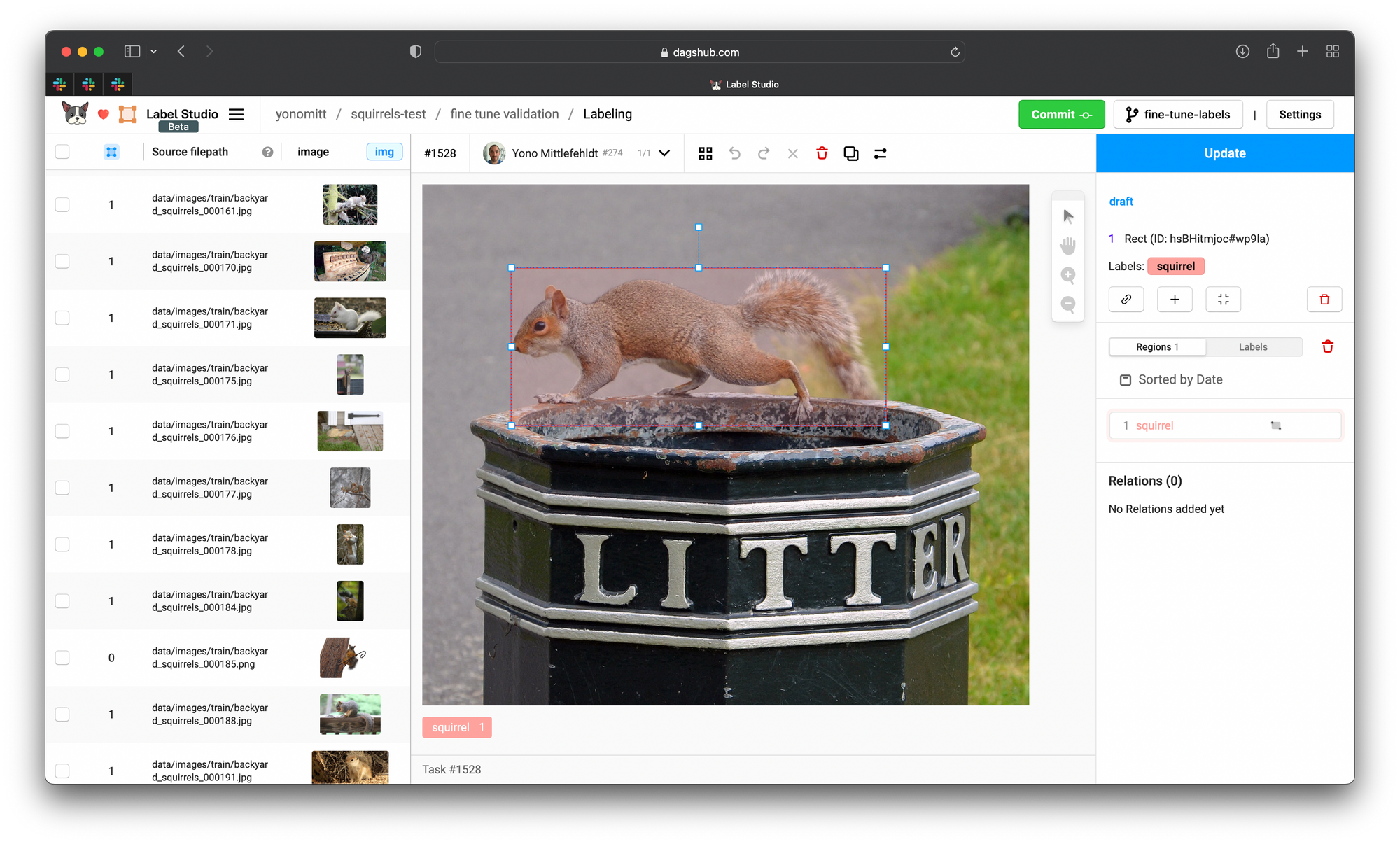 DagsHub's Label Studio integration running in a web browser, showing an image of a squirrel walking on a litter bin, annotated with a bounding box