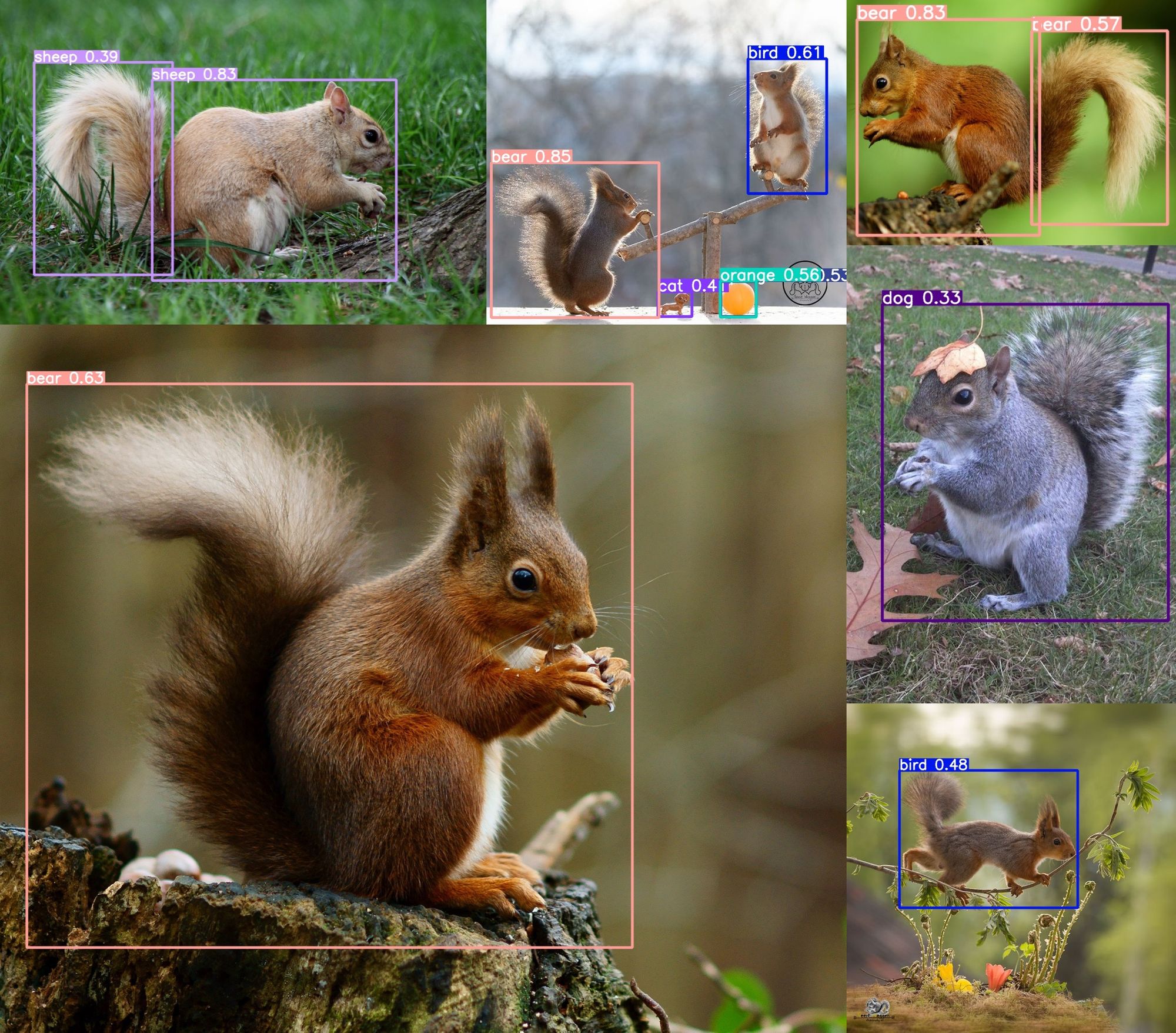 Six images of squirrels overlayed with bounding boxes and labels. The labels read either "sheep", "bear", "bird", or "dog", but never "squirrel"