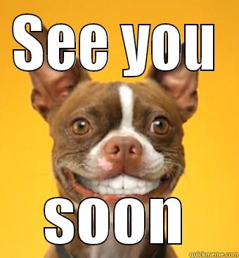 Meme showing a smiling dog with the text "See you soon"