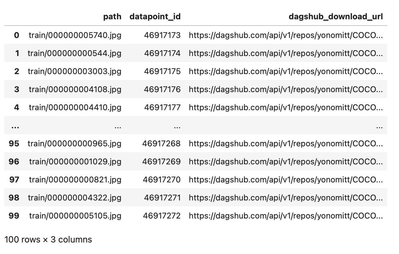 Screenshot of a pandas DataFrame showing 3 columns, "path", "datapoint_id", and "dagshub_download_url"