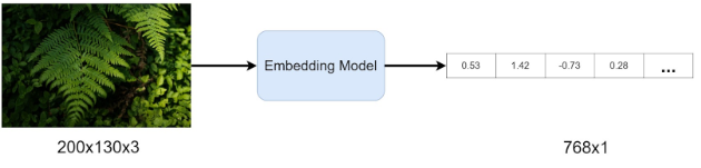 transformation from an image to a latent vector, via an embedding model