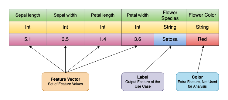 Feature Vector